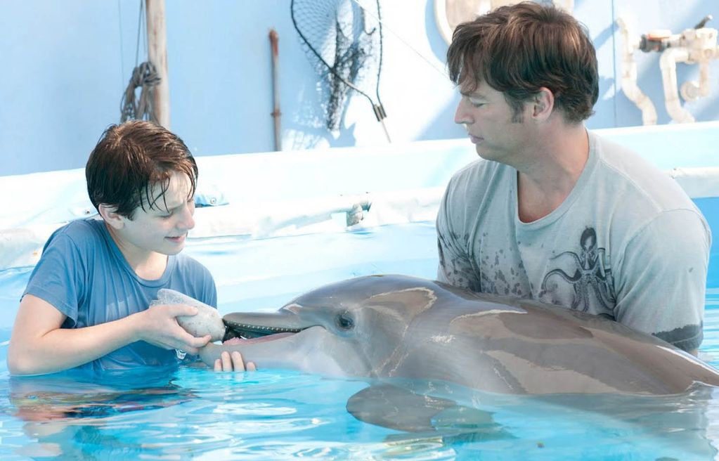 «История дельфина» - даже люди позавидуют такому желанию «жить»